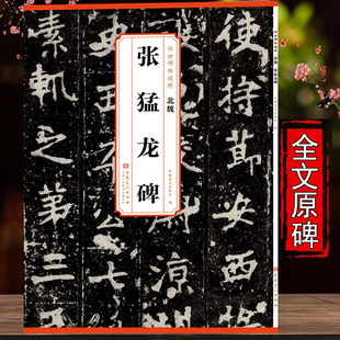 北魏 张猛龙碑 传世历代碑帖精粹 全文原色原帖简体旁注魏碑楷书字卡毛笔书法字帖成人学生临摹范本安徽美术出版社