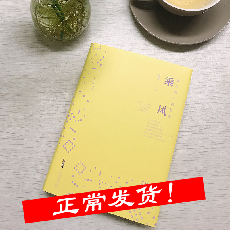 乘风滕肖澜小说精选系列其一 鲁迅文学奖得主海派代表作家滕肖澜新小说集 现当代文学书籍畅销书经典文学小说 安徽文艺
