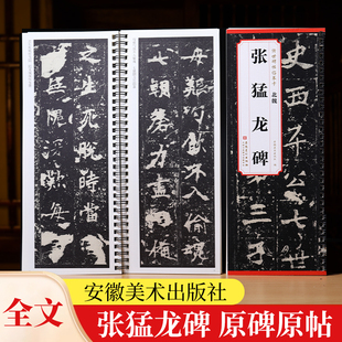 北魏 张猛龙碑 传世碑帖临摹卡 全文原色原帖简体旁注楷书字卡毛笔书法字帖成人学生临摹范本历代碑帖精粹安徽美术出版社