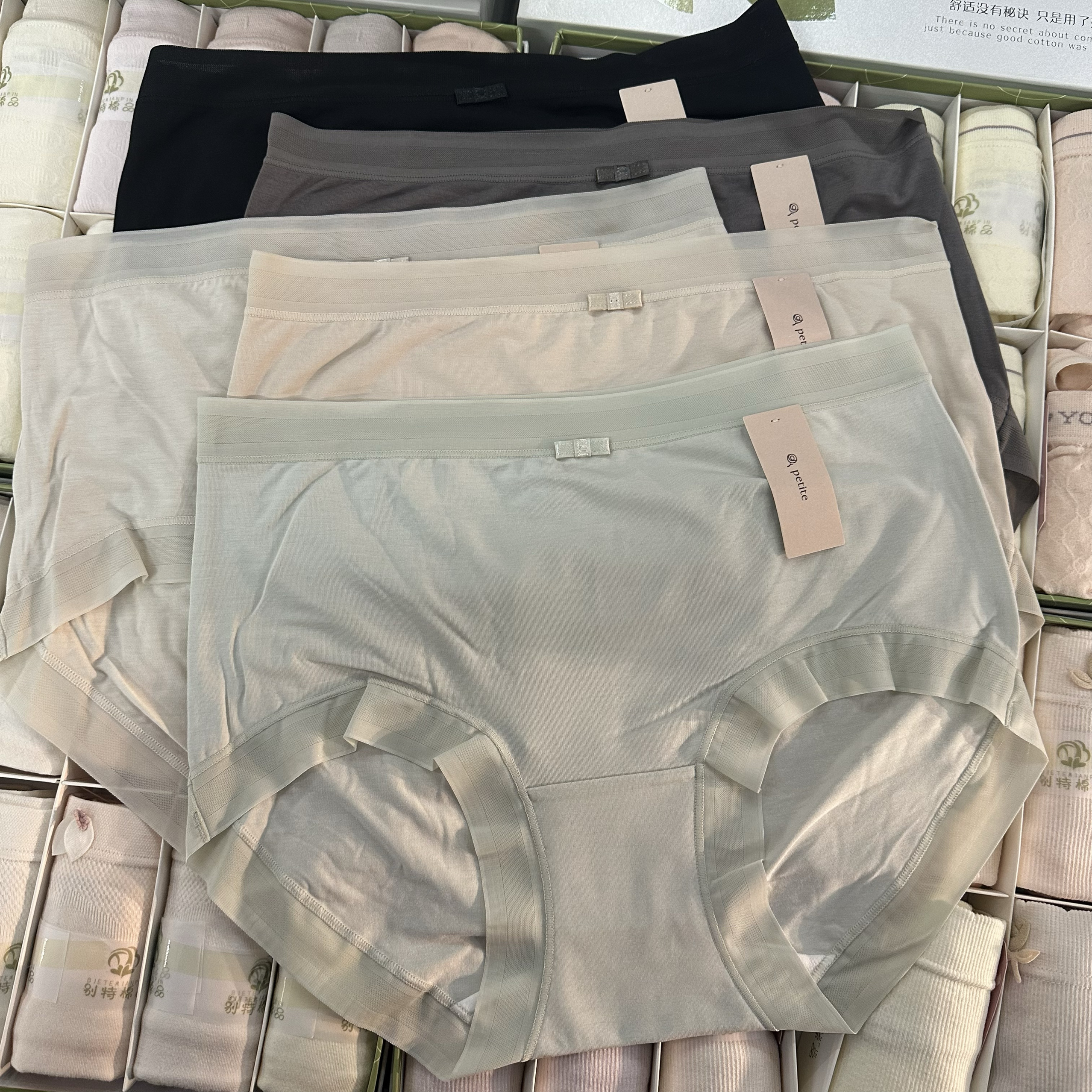 5条包邮小兰裙6277女士80s超细桑蚕丝莫代尔内裤莫兰迪色纯棉档裤