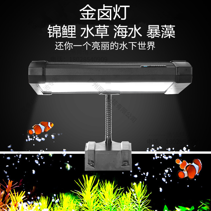 海水卤素灯价格 海水卤素灯图片 星期三 海水卤素灯价格 海水卤素灯图片 星期三