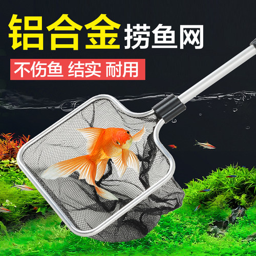 捞鱼网捞渔网抄网锦鲤锦鲤抄网