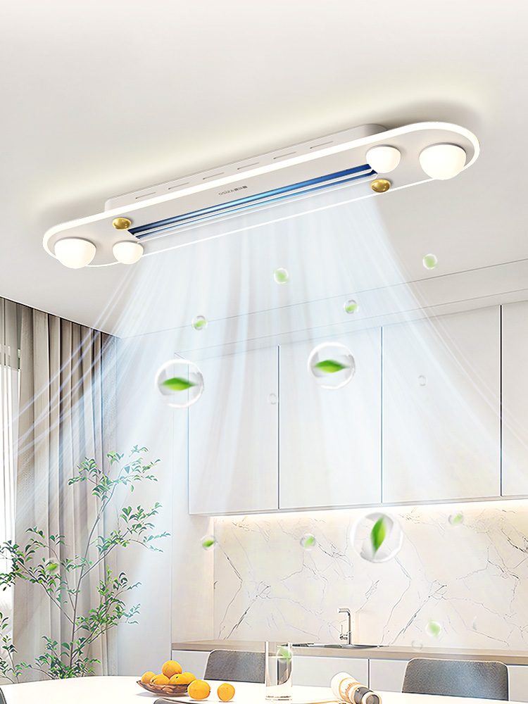 餐厅灯2025新型无叶扇灯吊扇灯家用吊灯简约现代大气中山灯