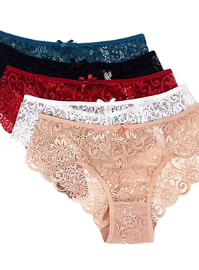 Women Lace Panties Sexy Underwear Hipster Briefs,Pack of 5