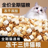 大包鄂芯鮮魚肉味兒成貓幼貓營養(yǎng)通用型貓糧成貓幼貓老年貓全階段