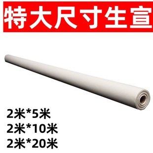 73克特大尺寸宣纸2米 5米10米20米大幅面书法国画精品白色生宣