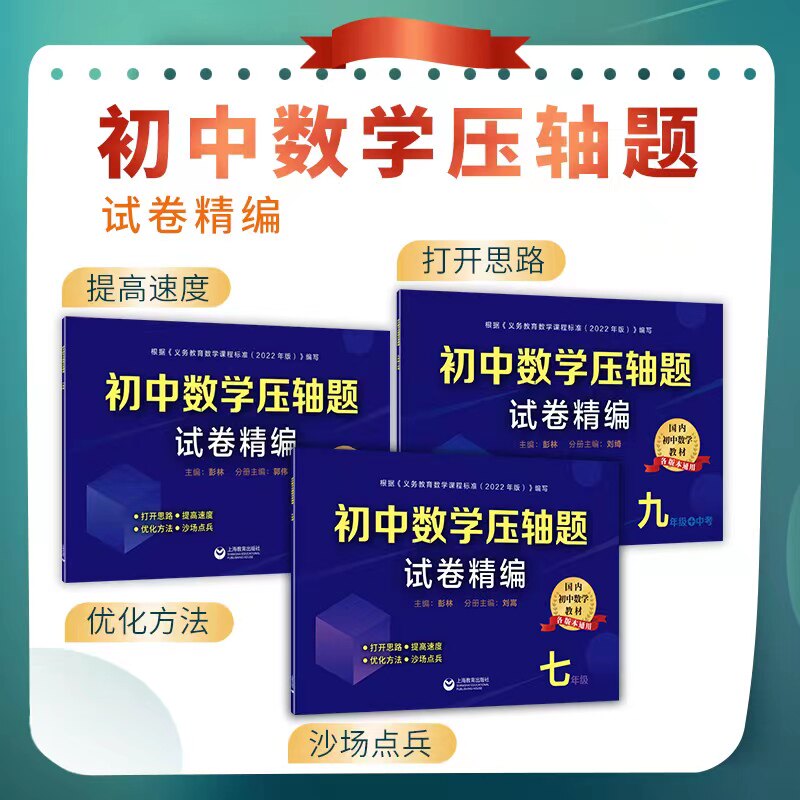 初中数学压轴题试题精编七八九年级 中考解题技巧方法技巧思维训练