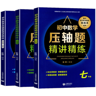 初中数学压轴题精讲精练试卷精编七八九年级初一数学初二初三同步专项训练练习刷题知识大全必刷题上下册竞赛教程书重难点专项训练