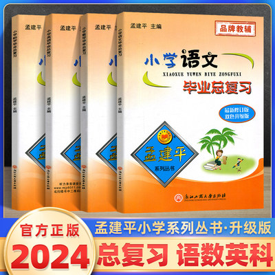 2024新版建平小学语文毕业复习