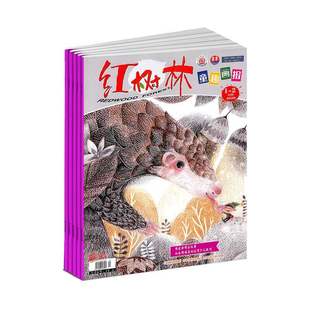 【2026年订阅】红树林(童趣画报)杂志1月起订全年12期订阅