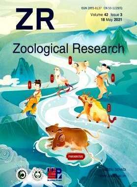 【2026年订阅】动物学研究(英文版)Zoological Research1月起订全年6期订阅