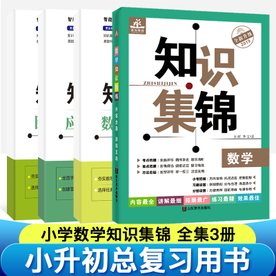 2024新版 小学数学知识精粹升级版 小学数学知识大全考点归纳大集结书小学生一二三四五六年级上下册同步练习册数学教材复习资料包