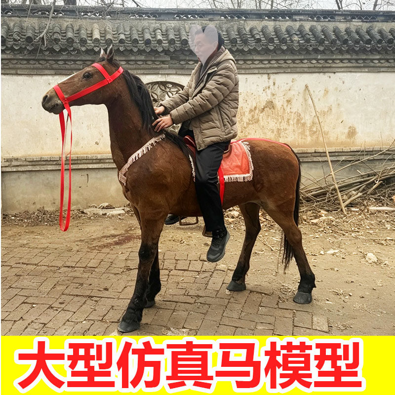 仿真马可乘骑真皮1比1马标本假马园林景观影视道具白马定制马摆件