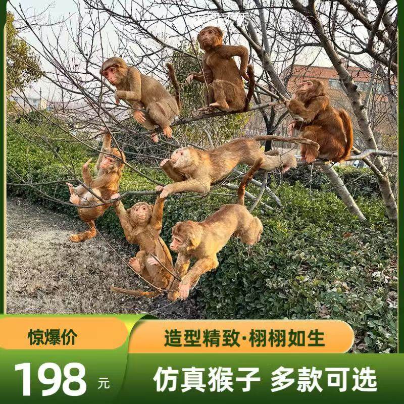 仿真猴子摆件大型猴子模型皮毛动物猴子工艺品仿真猴标本园林装饰