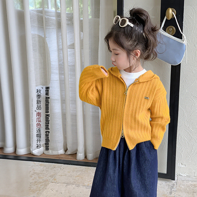 儿童毛衣外套秋装2025新款超好看女孩洋气拉链衫女童连帽针织开衫