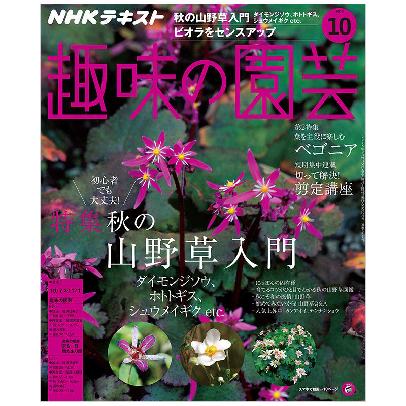 【订阅】ＮＨＫ趣味の園芸愿意花艺杂志日本日文原版年订12期 E389