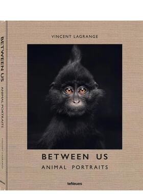 【预售】我们之间的距离：动物肖像 Between Us: Animal Portraits 英文进口原版摄影作品集自然景观图书Vincent Lagrange