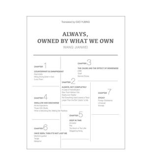汪建伟：我们总是被拥有 Jia 艺术画册画集Wang What 现货 中国文化视角 Always 东西所拥有 英文进口原版 Owned Own