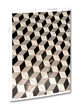 【现货】【限量版】321 英文原版图书籍进口正版 Roe Ethridge 摄影作品集画册 MACK出版社