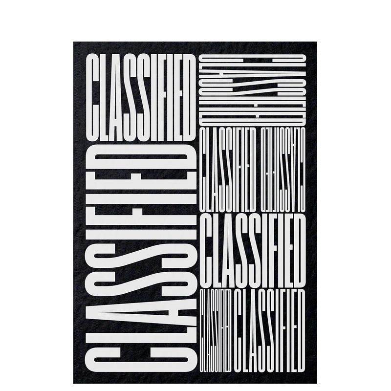 【现货】分类广告：美国南方小镇当地广告视觉实录 Classified: Local Ads from America’s... 原版英文广告包装设计