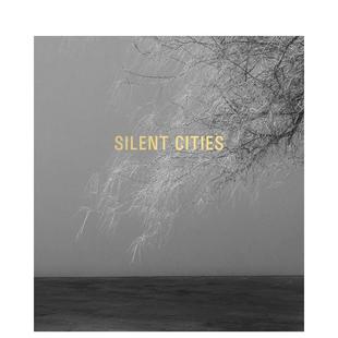 Hennek Steidl Gerhard 英文进口原版 预售 Mat 摄影集外文图书籍 Cities马特·亨内克 Silent and 寂静 Mark 城市