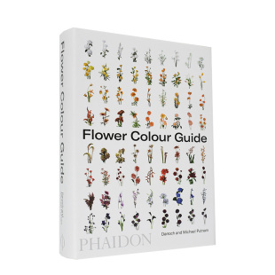 策划婚礼 Flower 花色指南 Guide 英文原版 Putnam 晚宴 Darroch Colour 英文版 图书籍进口正版 插 生日派对 室内设计 预售