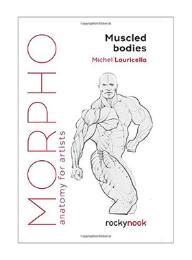【现货】【Morpho】Muscled Bodies 肌肉发达的身体 英文原版图书籍进口正版 艺术技法与入门赏析