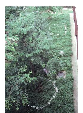 【现货】日本雕塑家菅木志雄：文集 第2卷 1980-1989 Kishio Suga: Writings Vol. 2 1980–1989英文进口原版艺术画册画集Andrew