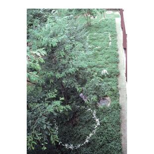 【现货】日本雕塑家菅木志雄：文集 第2卷 1980-1989 Kishio Suga: Writings Vol. 2 1980–1989英文进口原版艺术画册画集Andrew