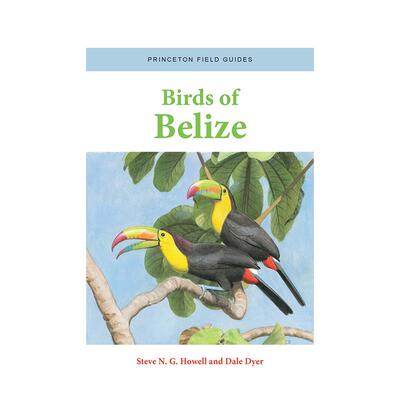【预售】Birds of Belize伯利兹的鸟 英文进口原版人文社科图书 Steve N. G. Howell and Dale Dyer