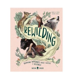 英文进口原版 儿童绘本图书 Squid 预售 动物生态环保 Neon 野化Rewilding 9岁