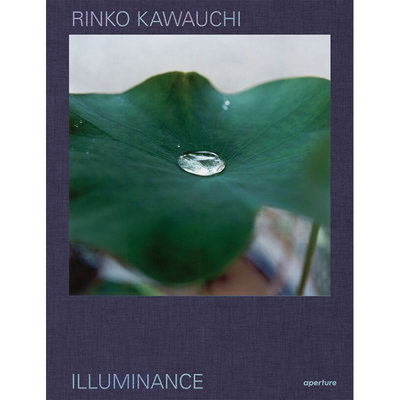 【现货】Rinko Kawauchi:Illuminance川内伦子:明度 照度 光度(十周年纪念版）摄影集作品 英文原版图书籍正版Shinohara Masatake