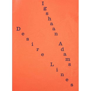 【预售】【翰德图书】Igshaan Adams 伊格尚·亚当斯：欲望线 英文原版图书籍进口正版 Hendrik Folkerts 当代艺术画册