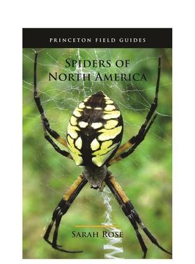 【预售】北美洲的蜘蛛 Spiders of North America英文生活原版图书外版进口书籍Sarah Rose