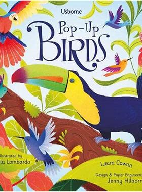 【预售】【立体书】鸟类Birds【Pop-Up】英文进口原版儿童图书3-6岁立体书Laura Cowan
