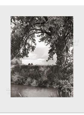 【现货】罗伯特·亚当斯:三角叶杨Robert Adams: Cottonwoods英文原版摄影集 外版进口图书