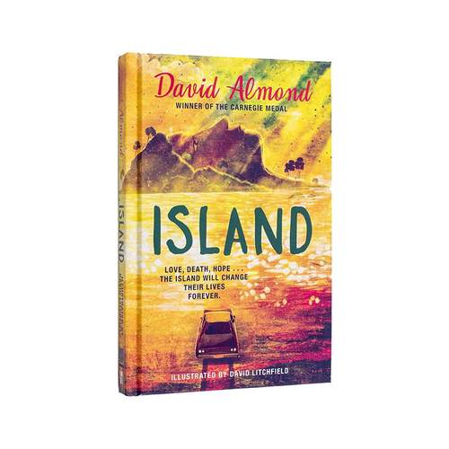 【预售】岛屿（David Litchfield绘制插画版）Island:The illustrated edition英文进口原版儿童图书青少年读物David Almond9-12岁