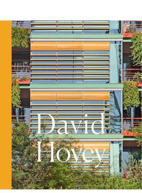 【预售】大卫?霍维 David Hovey 英文进口原版建筑设计图书Cheryl Kent Helmut Jahn Alex Marshall