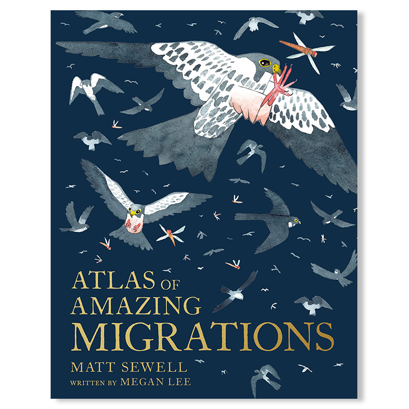 【现货】 Atlas of Amazing Migrations，令人惊叹的鸟类迁徙图集英文原版图书进口正版儿童益智启蒙动物科普绘本 MeganLeePage