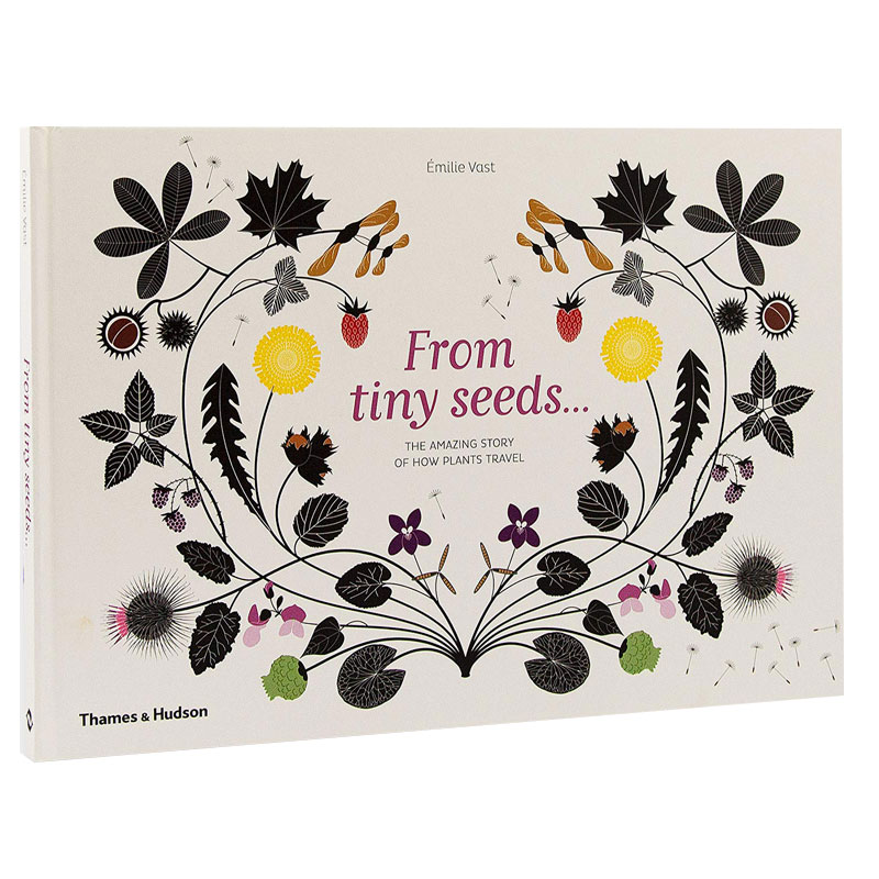 FromTinySeeds从微小的种子