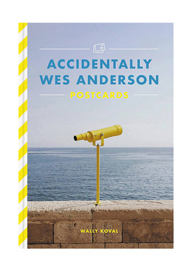 【现货】Accidentally Wes Anderson Postcards，偶遇韦斯安德森：26张明信片 英文原版图书籍进口正版 Wally Koval明信片