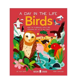 预售 the 儿童绘本图书Dr.Alex 一天 Birds英文进口原版 动物 Bond百科 鸟类 Life Day