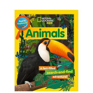 12岁National Kids 探索它 Explore Animals英文青少年读物进口原版 找到它 动物Find Geographic 儿童图书9 现货