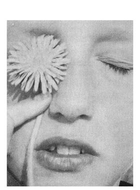 【预售】好的 无回应OK, NO RESPONSE英文原版摄影集 外版进口图书AARON STERN AND LUCY HELTON