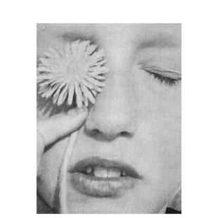 外版 预售 RESPONSE英文原版 进口图书AARON LUCY 无回应OK AND 好 HELTON STERN 摄影集