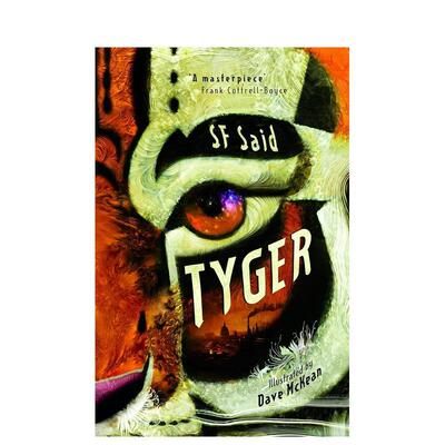 【现货】【2024卡内基文学奖长名单】老虎 Tyger 英文进口原版青少年读物3-6岁SF Said  Dave McKean儿童图书