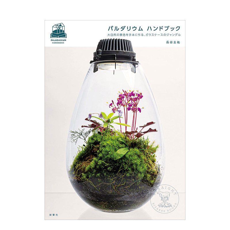 微观造景手册 日文原版图书籍进口正版 长谷圭佑,straight