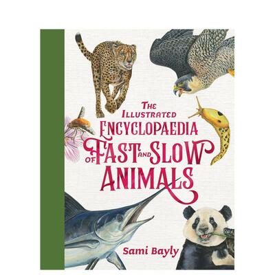 【预售】速度图解百科全书 The Illustrated Encyclopaedia of Fast an 英文进口原版儿童绘本图书Sami Bayly外文正版