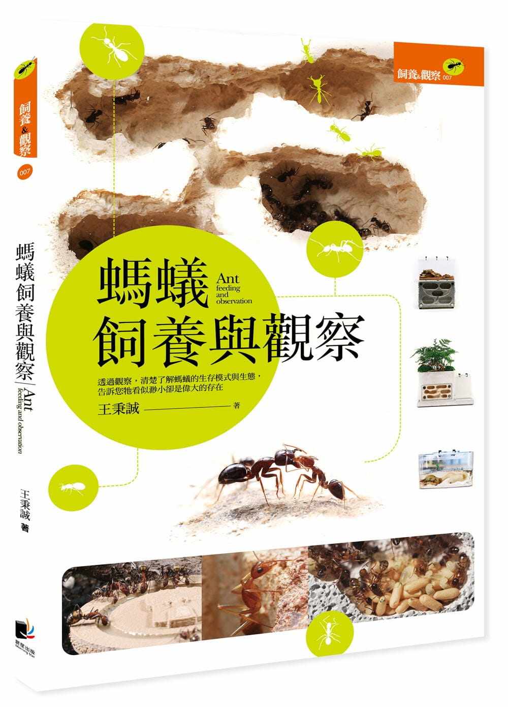 【预售】王秉诚《蚂蚁饲养与观察》晨星 港台原版图书籍台版正版进口