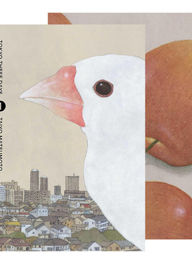 【现货】【松元大洋】东京平常日 卷1-2 Tokyo These Days  Vol. 1 英文原版漫画 Taiyo Matsumoto